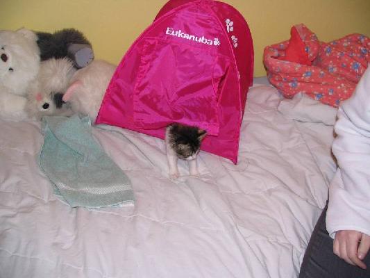 New Brunswick 2004 019.jpg